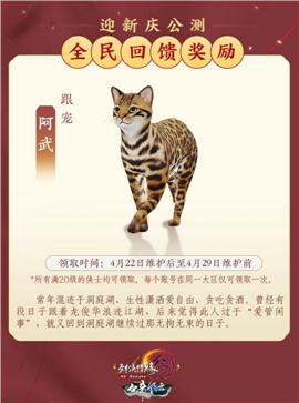 天龙八部私服海贼